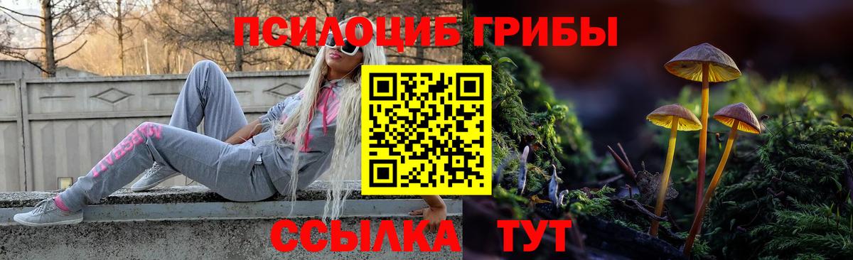 Псилоцибиновые грибы Cubensis  Вход с VPN  Бирск 